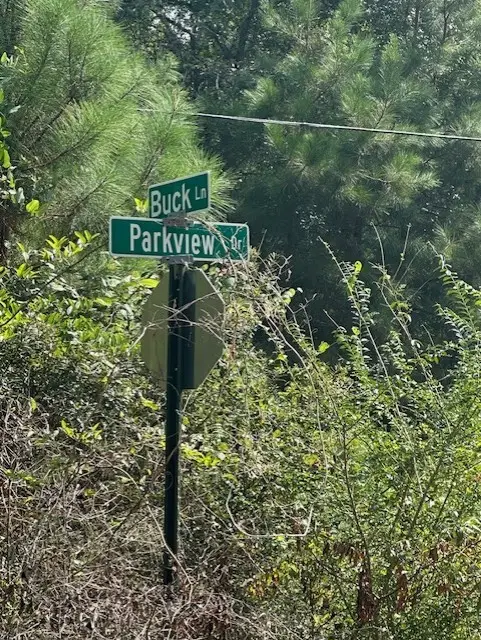 26976 Callie Drive, Hempstead, TX 77445 - Image #2