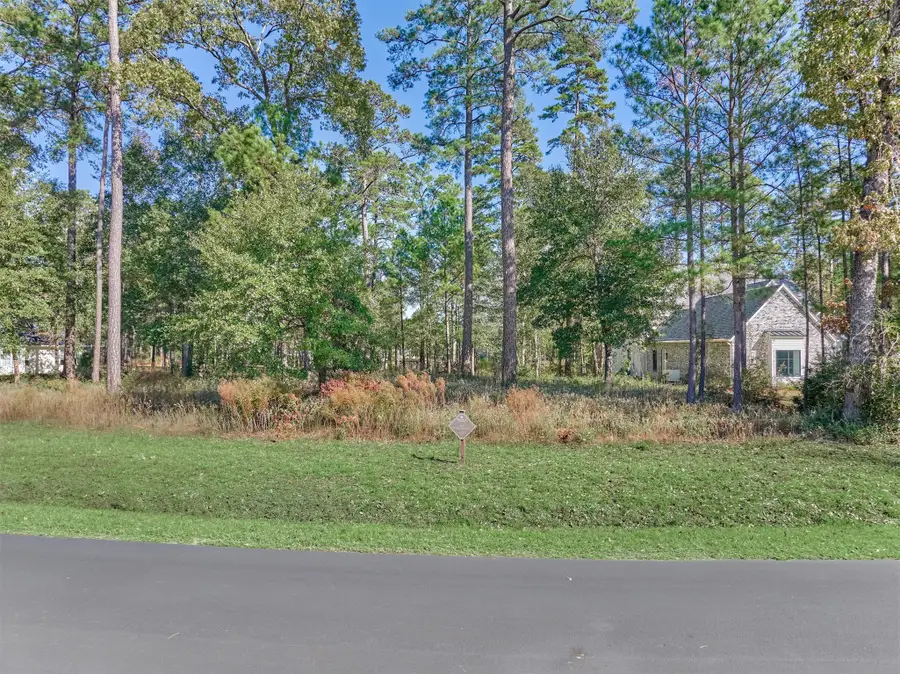 4441 Holly Trail Road, Montgomery, TX 77316 - Image #2