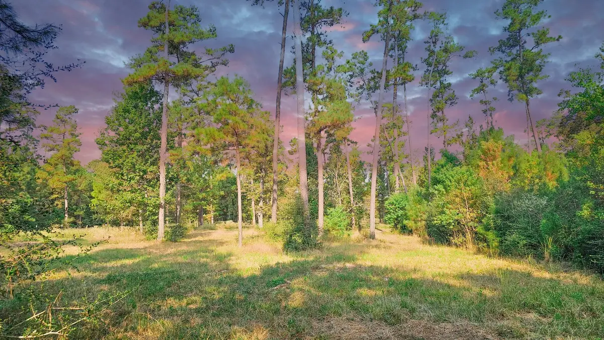 TBD Gregory, New Waverly, TX 77358 - Image #1