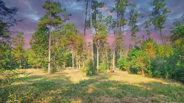 TBD Gregory, New Waverly, TX 77358