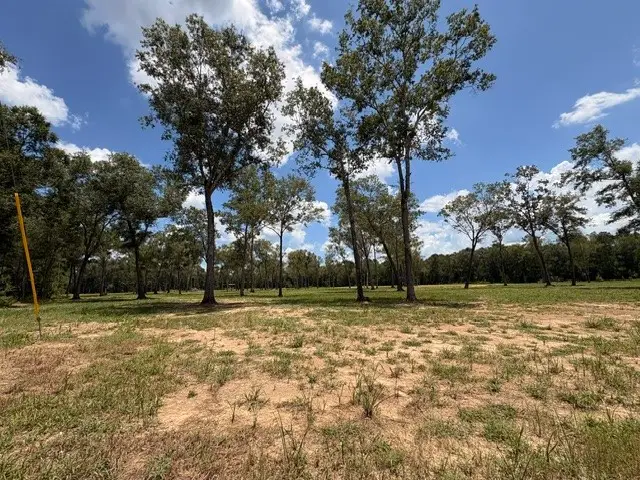 1510 County Road 632, Dayton, TX 77535 - #3