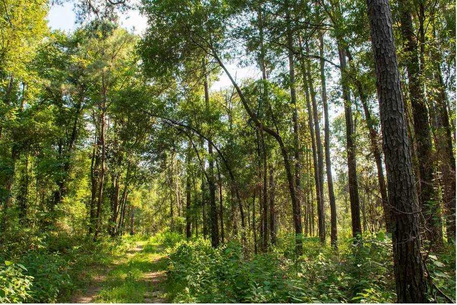 0 County Road 2016, Newton, TX 75966 - #2