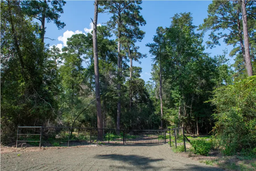 0 County Road 2016, Newton, TX 75966 - #3
