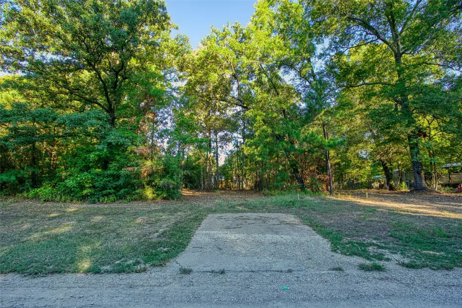TBD Lot 103 Windwood Drive, Livingston, TX 77351 - Image #3
