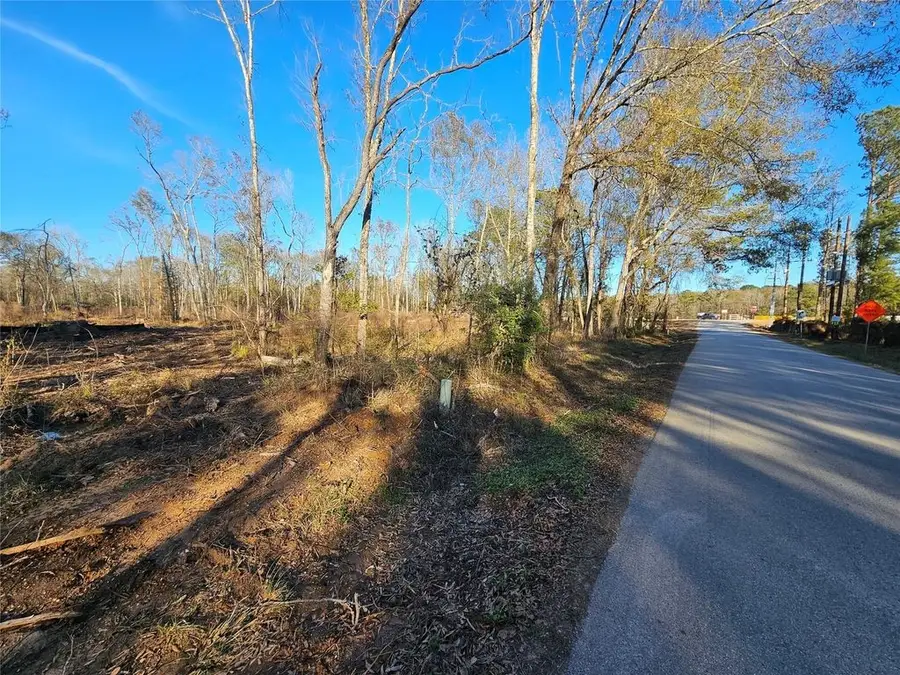Lot 47 Sherwood Drive, Shepherd, TX 77371 - #2
