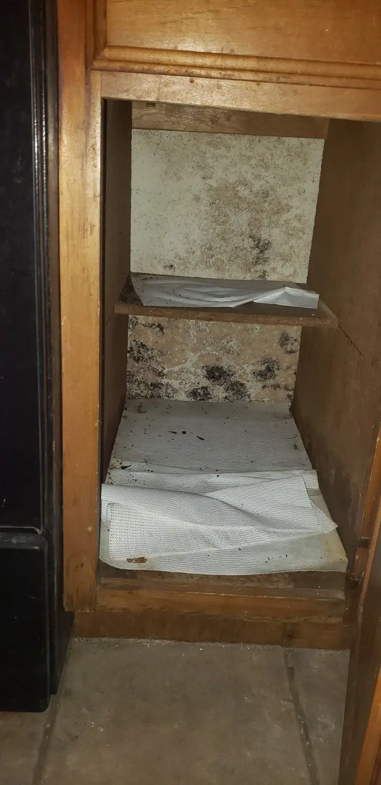 2425 Holly Hall Street #F80, Houston, TX 77054 - Image #3