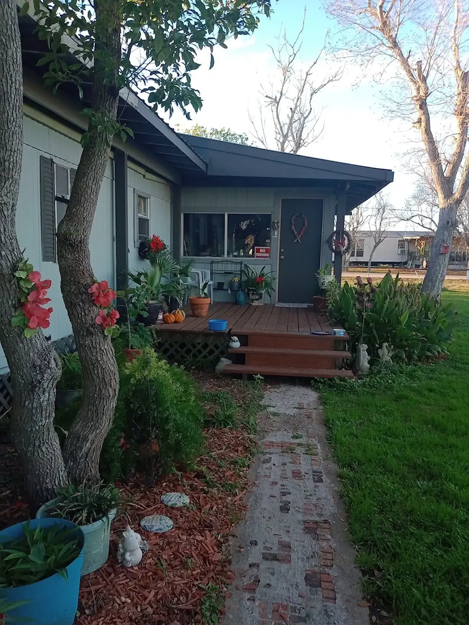 6004 Pine Street, Brazoria, TX 77422 - #1