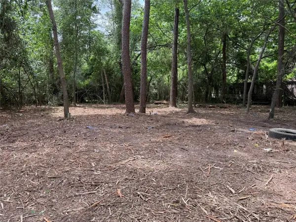 27007 Seahorse Lane, Magnolia, TX 77355