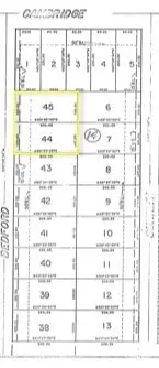 19109 Bedford, New Caney, TX 77357 - #1