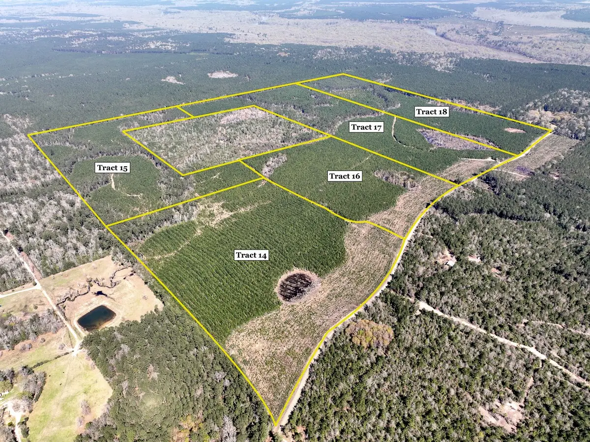 16 County Rd 4415, Spurger, TX 77660 - Image #1