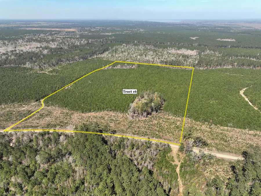 16 County Rd 4415, Spurger, TX 77660 - Image #2