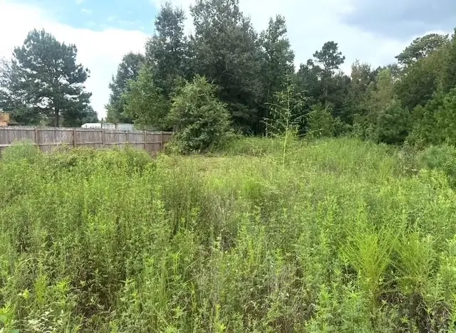 932 Road 5260, Cleveland, TX 77327 - #3