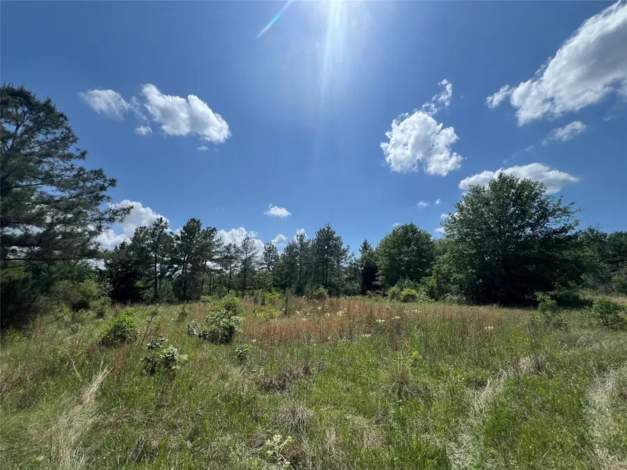 0011 Cr 218 Road, Anderson, TX 77830 - #2