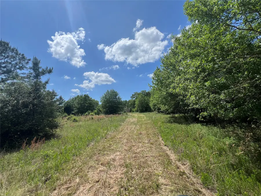 0011 Cr 218 Road, Anderson, TX 77830 - #3