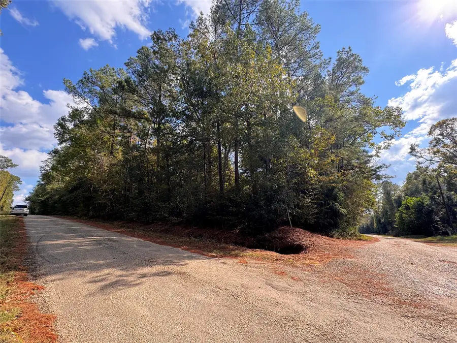 TBD Love Drive, Cleveland, TX 77327 - Image #2