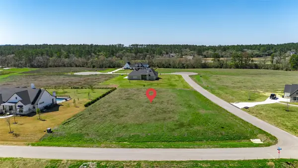 8572 Cedar Lake Lane, Plantersville, TX 77363