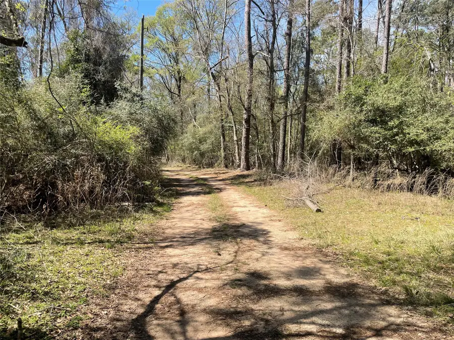 404 Possum Park Rd Road, Houston, TX 77338 - Image #2