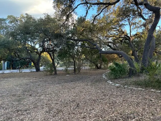 185 Polly Drive, Canyon Lake, TX 78133 - #1
