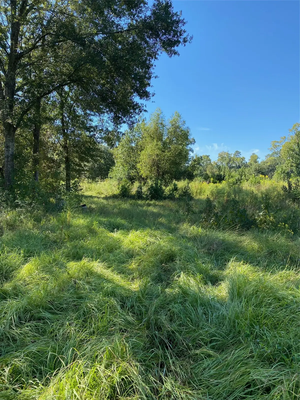 6225 County Road 2252, Cleveland, TX 77327 - #1