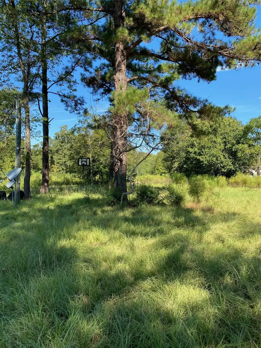 6225 County Road 2252, Cleveland, TX 77327 - #2