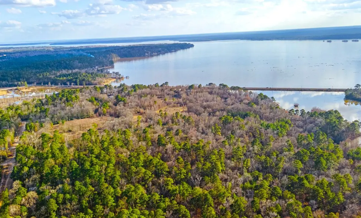 5 Lots Hickory Ridge Drive, Trinity, TX 78562 - #1