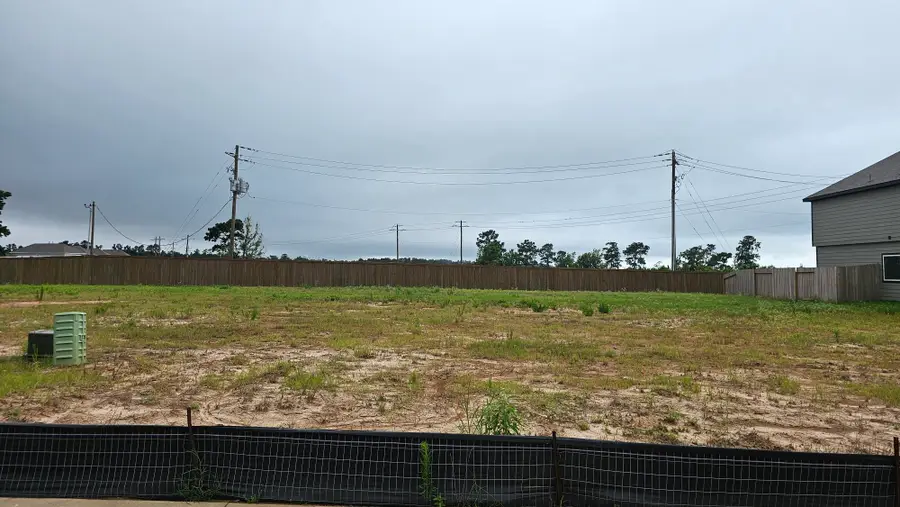 9273 Crestone Peak Drive, Willis, TX 77318 - #2