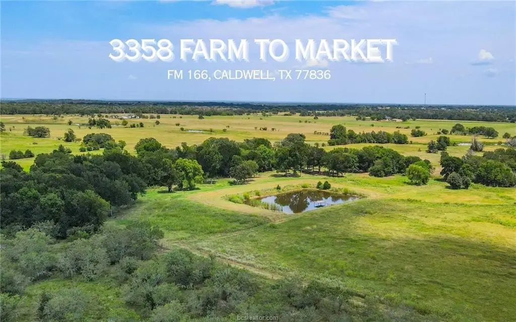 TBD Fm 166 - 54 Acres, Caldwell, TX 77836 - #1