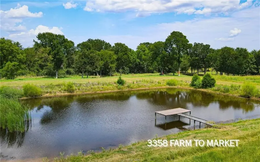 TBD Fm 166 - 54 Acres, Caldwell, TX 77836 - #2