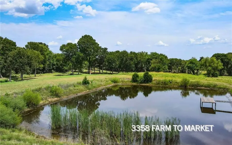 TBD Fm 166 - 54 Acres, Caldwell, TX 77836 - #3