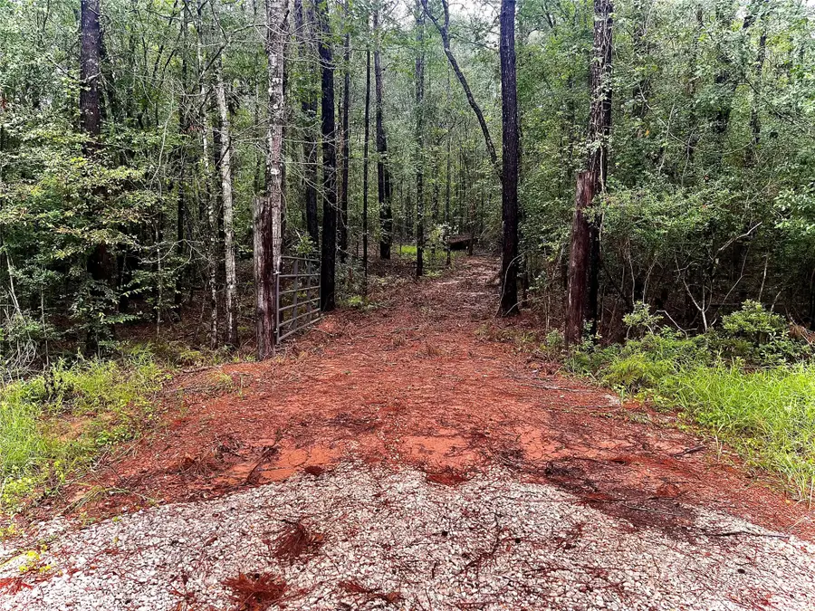 14471 Kyle Lane, Conroe, TX 77306 - Image #3