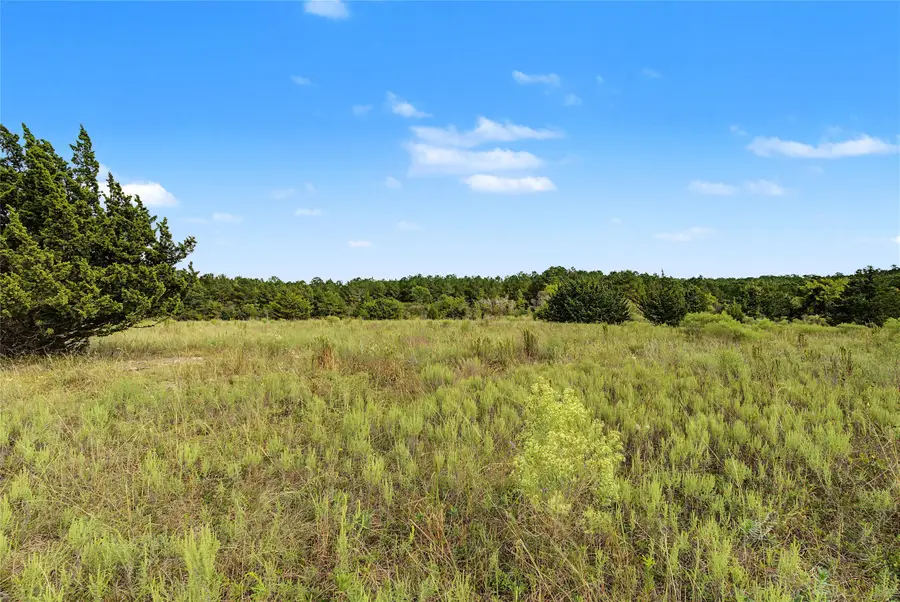 TBD Fm 980, Huntsville, TX 77340 - #2