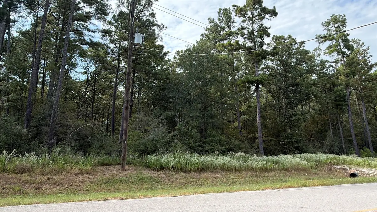 359 Dipping Vat Road, Huntsville, TX 77340 - #1
