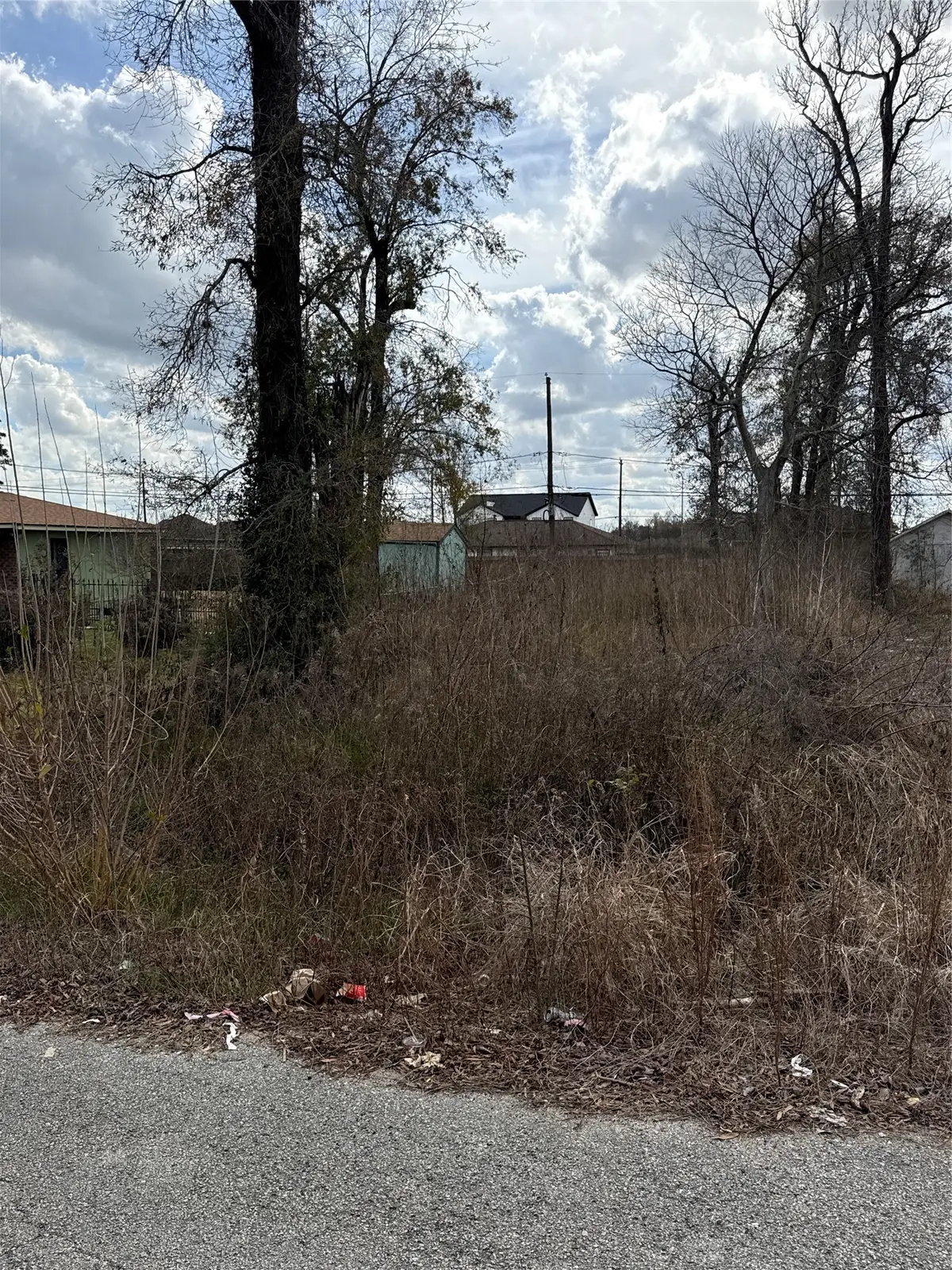 8538 Homewood Lane, Houston, TX 77028 - #1