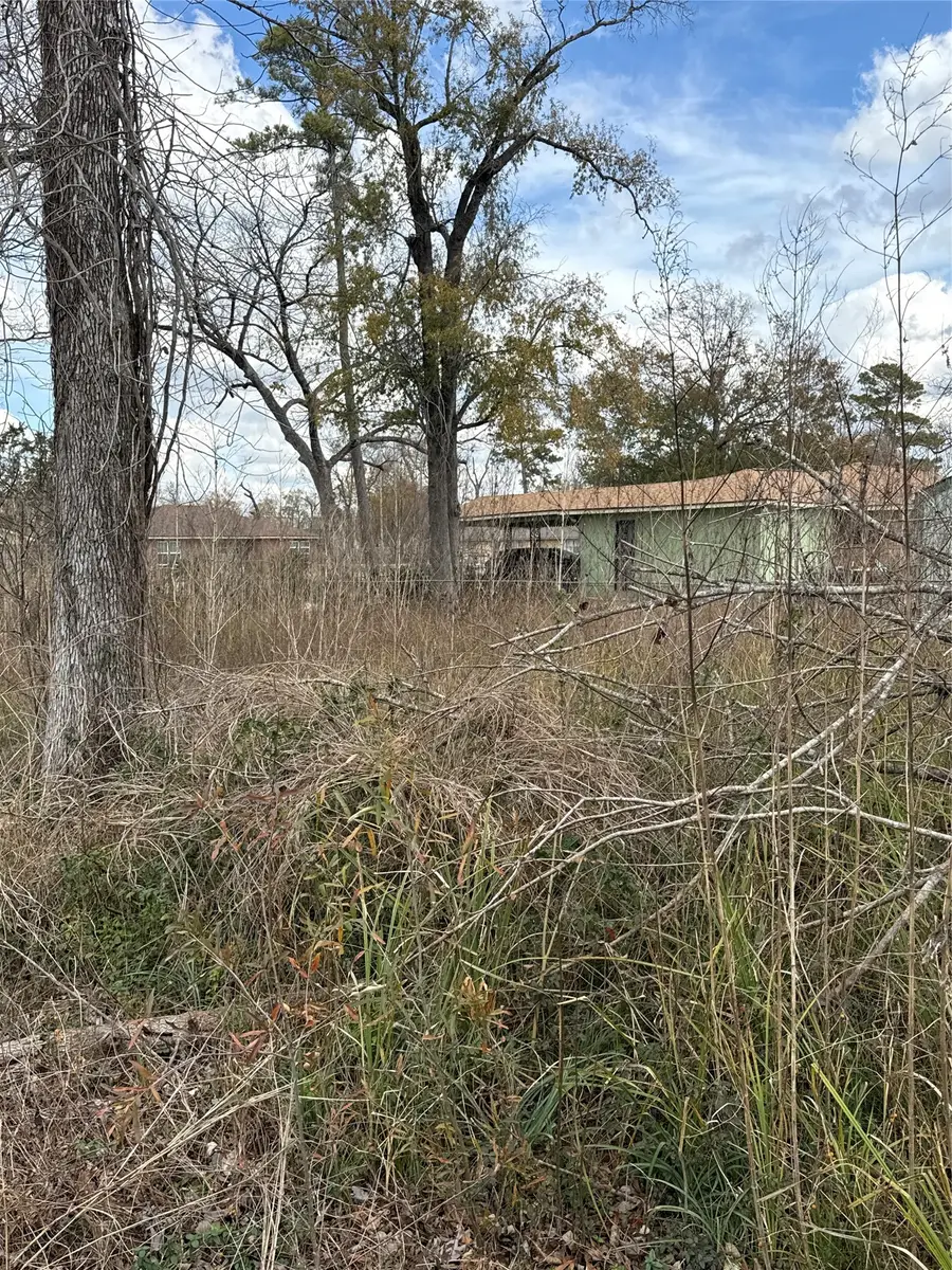 8538 Homewood Lane, Houston, TX 77028 - #3