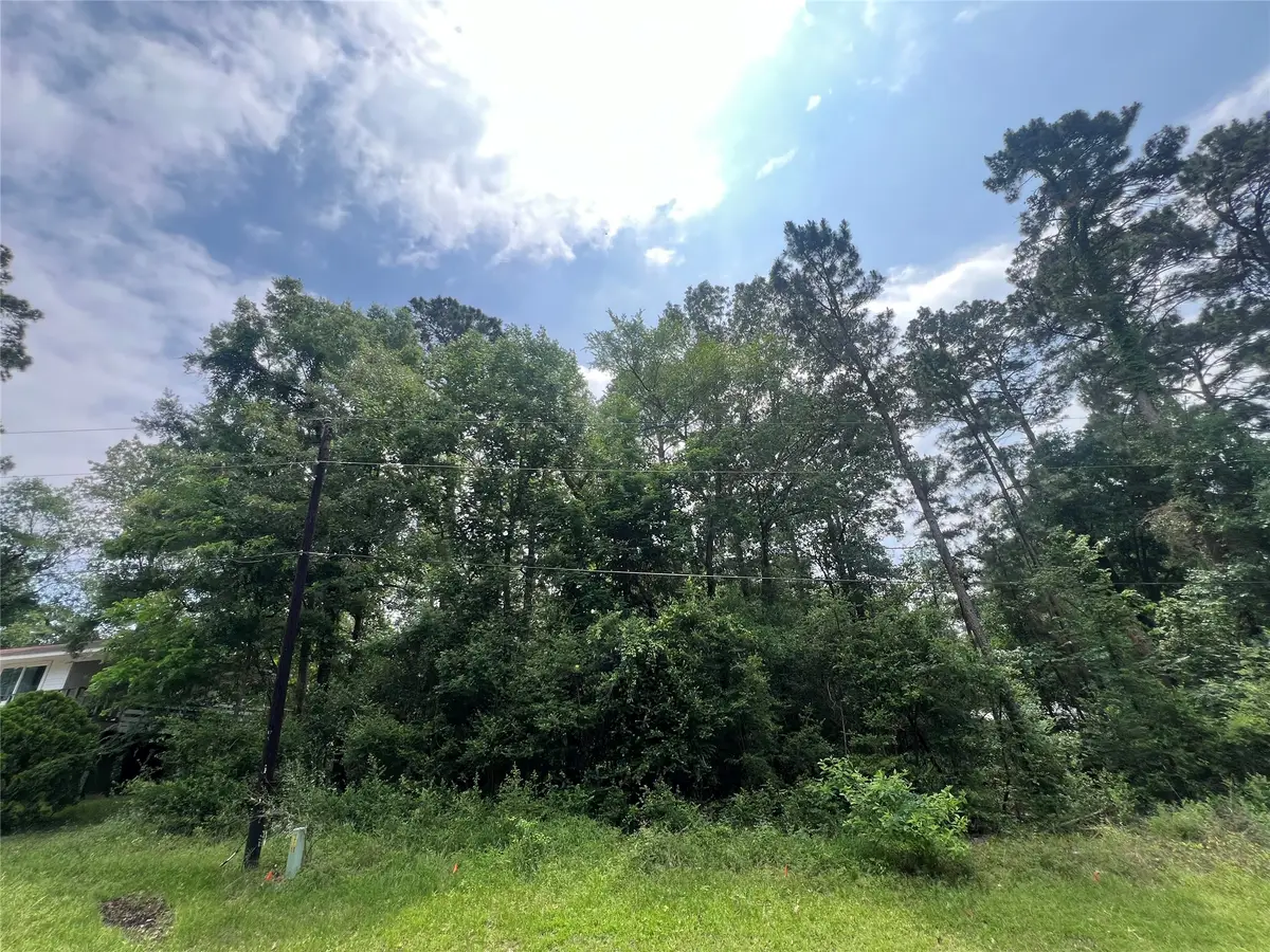 TBD Ibex S, Onalaska, TX 77360 - #1