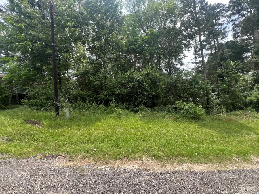 TBD Ibex S, Onalaska, TX 77360 - #2