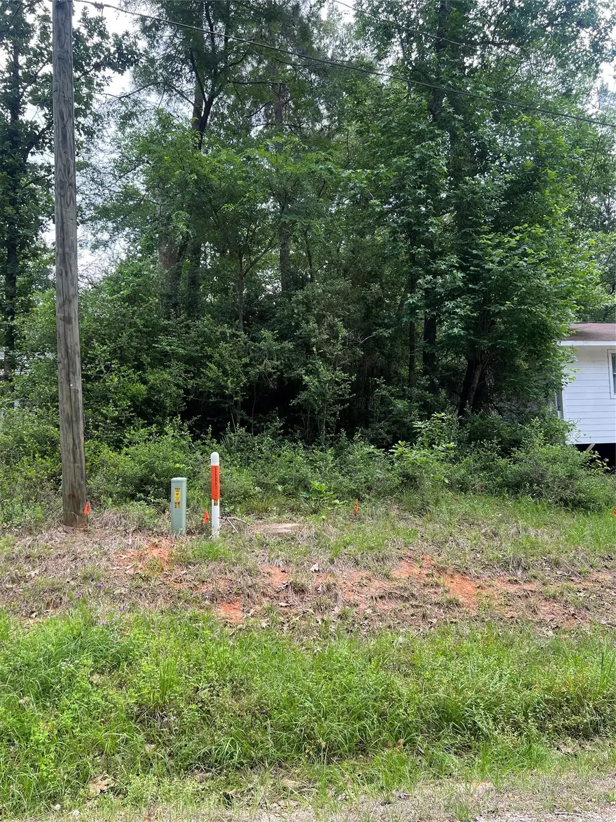 TBD Ibex S, Onalaska, TX 77360 - #3