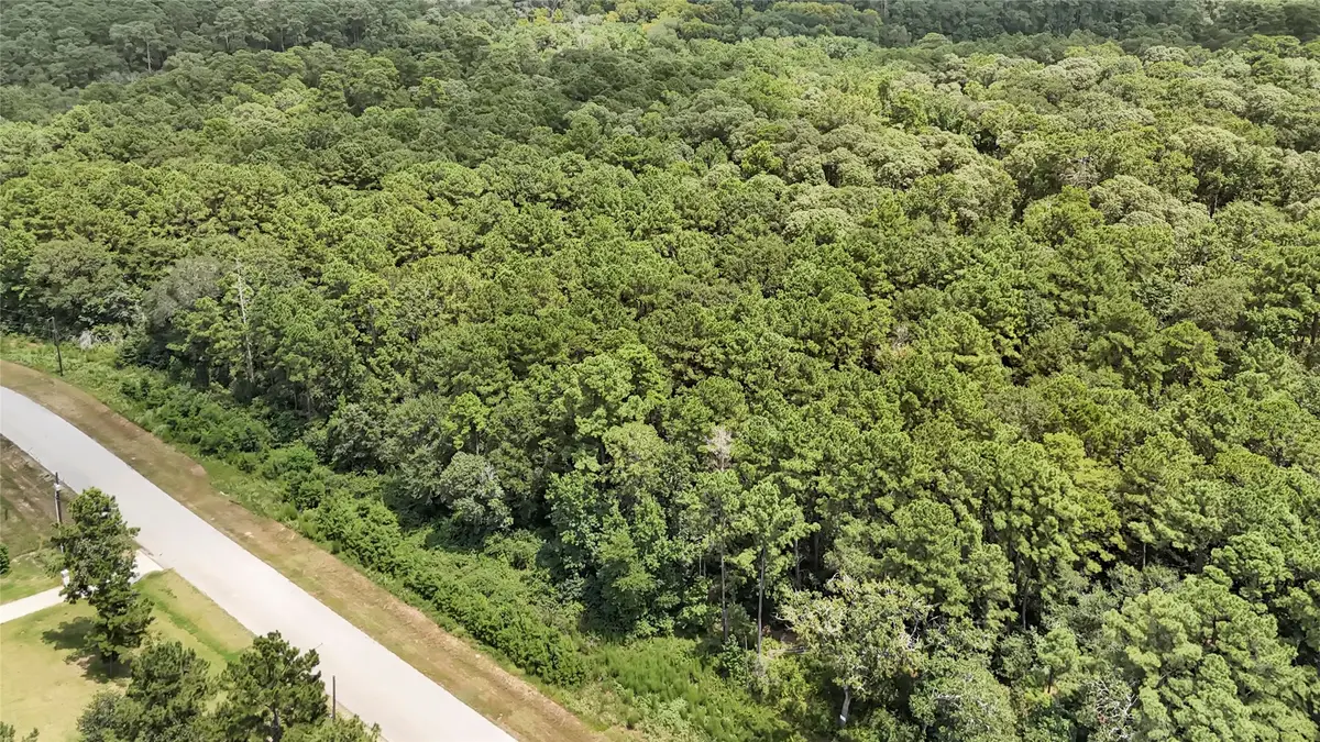 7-23-67 Sky Oak Lane, Huntsville, TX 77340 - #1