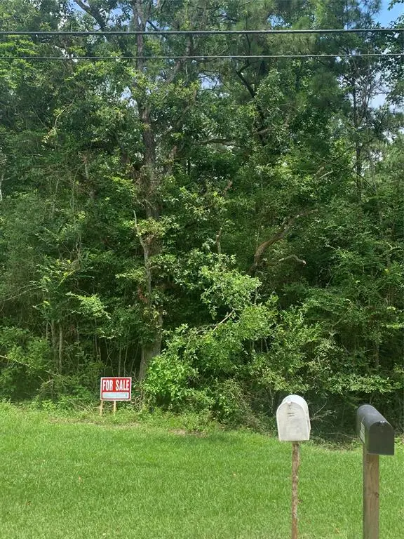 000 Post Oak Circle, Trinity, TX 75862 - #3