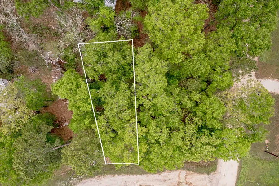 Lt 194 Evergreen, Livingston, TX 77351 - #2