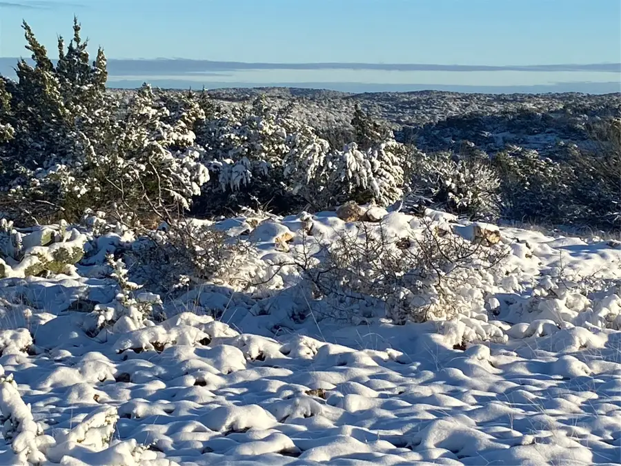 TBD Pinon Pine, Rocksprings, TX 78880 - #3