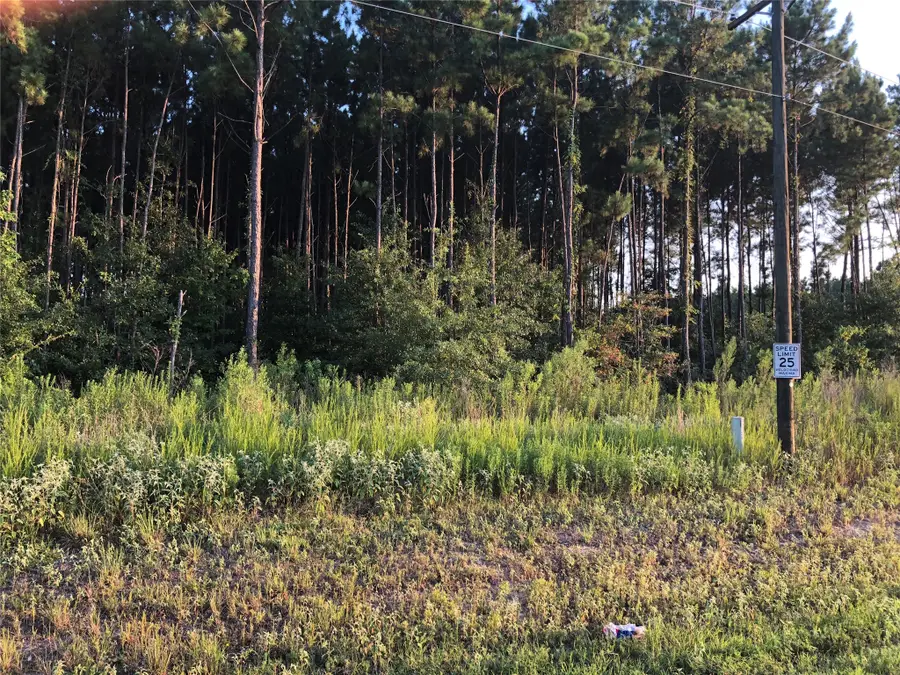 738 County Road 3540, Cleveland, TX 77327 - #3