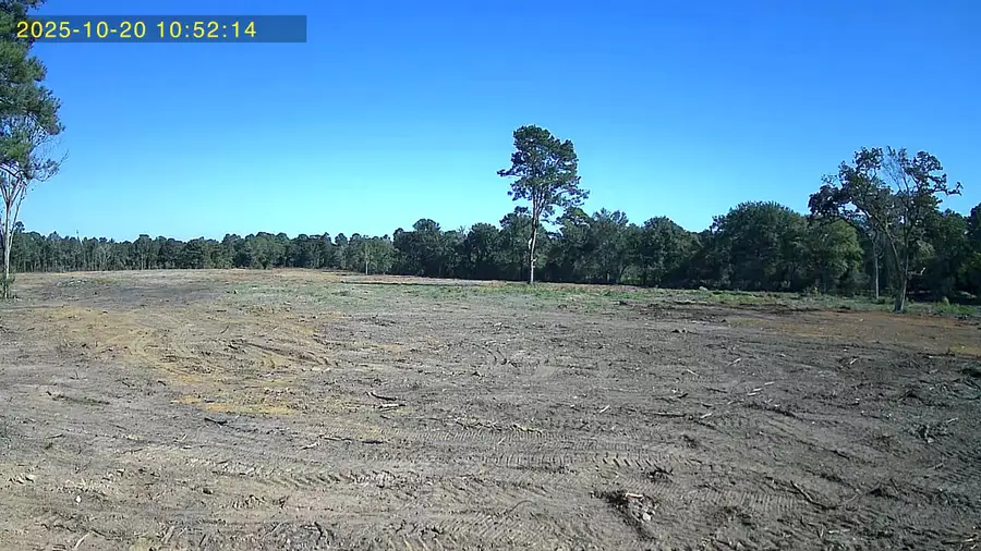 29424 Hegar Road, Hockley, TX 77447 - Image #2