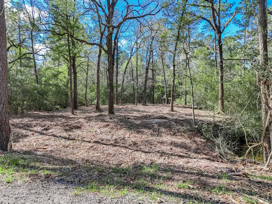 0 Nottingham Circle, Hockley, TX 77447 - #2