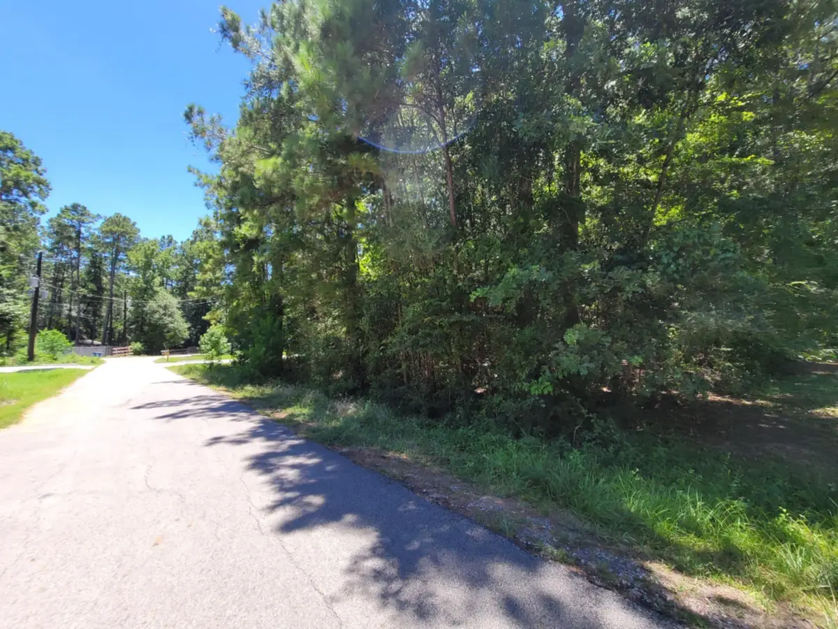 0 Hickory Drive, Montgomery, TX 77356 - #1