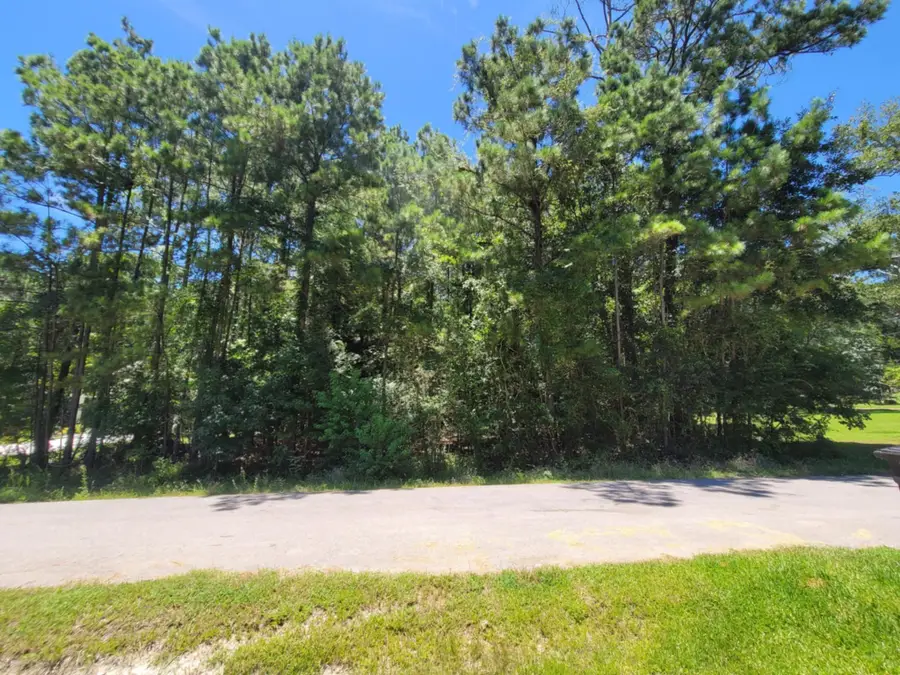 0 Hickory Drive, Montgomery, TX 77356 - #3