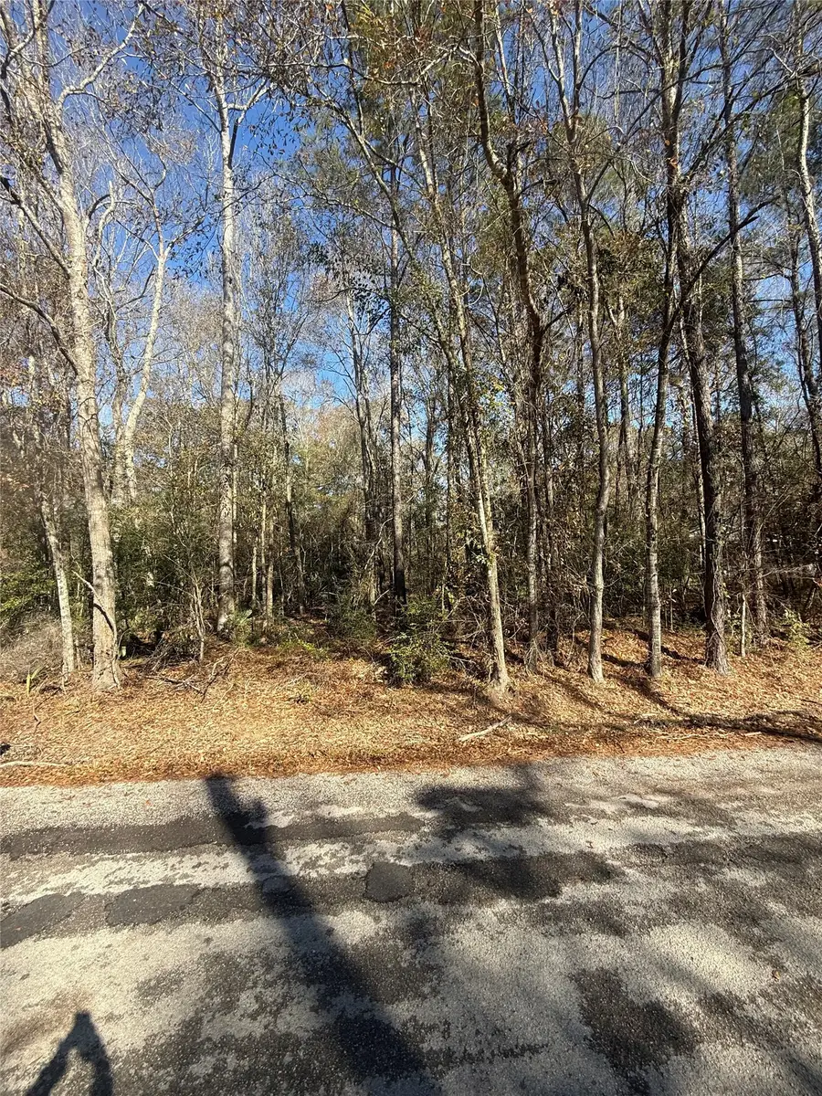 TBD County Road 3669c, Splendora, TX 77327 - Image #3