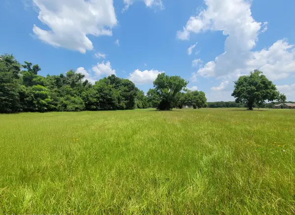 515 Cross Timbers Drive, Rosharon, TX 77583