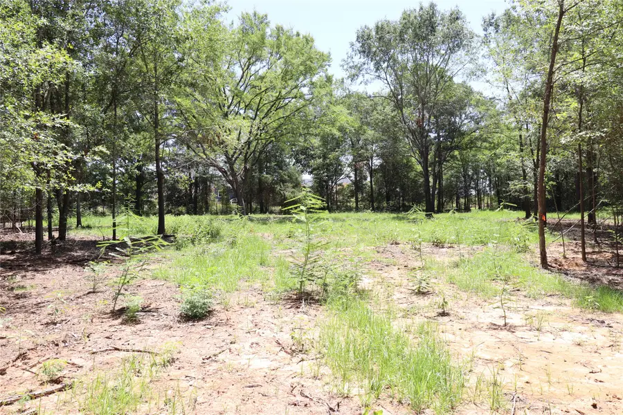 13774 Midway Drive, Willis, TX 77318 - #3