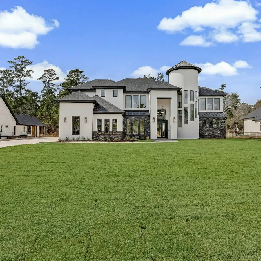 18556 Michaels Run, Montgomery, TX 77316 - #2